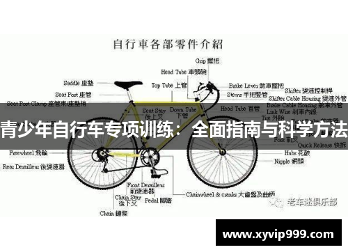 青少年自行车专项训练:全面指南与科学方法
